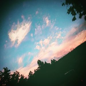 Meet your Posher, Shay